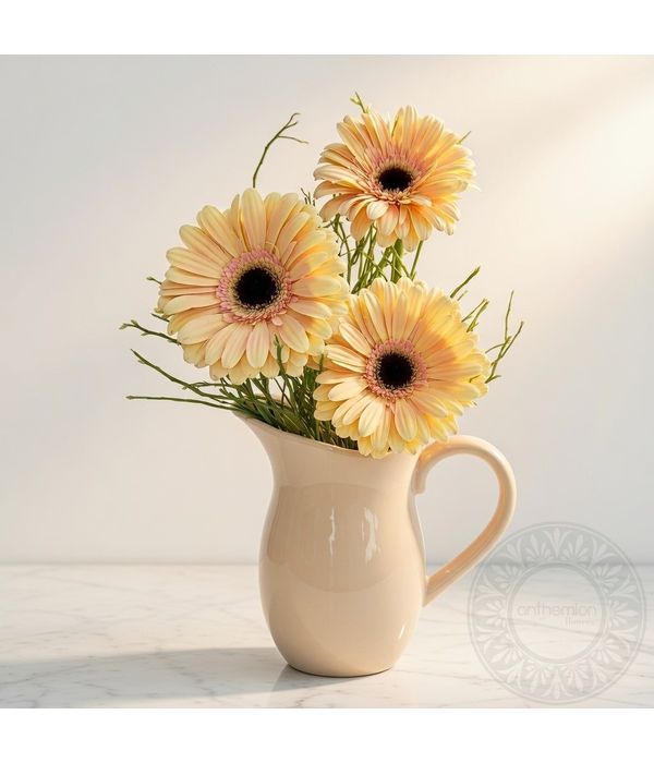 Gerberas in a ceramic jug