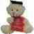 Congratulation teddy bear 30cm
