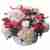 Basket filled with fuchsia and white flowers