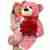 Red roses with pink teddy bear 70cm