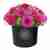 Black round box with fuchsia flowers
