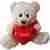 Teddy bear 20cm holding a heart writing I love you