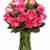 Romantic fuchsia roses
