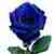 Μπλε Τριαντάφυλλα Εισαγωγής ανά Τεμάχιο