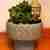 Ceramic pot with Buddha and succulent