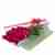 Αιώνια αγάπη, κουτί με 24 κόκκινα τριαντάφυλλα
