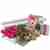 Grand Seduction with Pink Roses