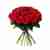 20 Classic red roses