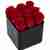 Cube arrangement of roses (choose rose color)