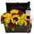 Chest with yellow flowers and red wine 190 ml