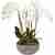 White Phalaenopsis orchid arrangement