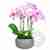 Pink Phalaenopsis orchid arrangement