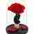Red Forever Rose  (Medium size)