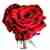 Κόκκινα Τριαντάφυλλα Εισαγωγής ανά Τεμάχιο
