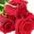 Roses per stem to Rhodos island