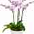 Sublime pink orchid arrangement